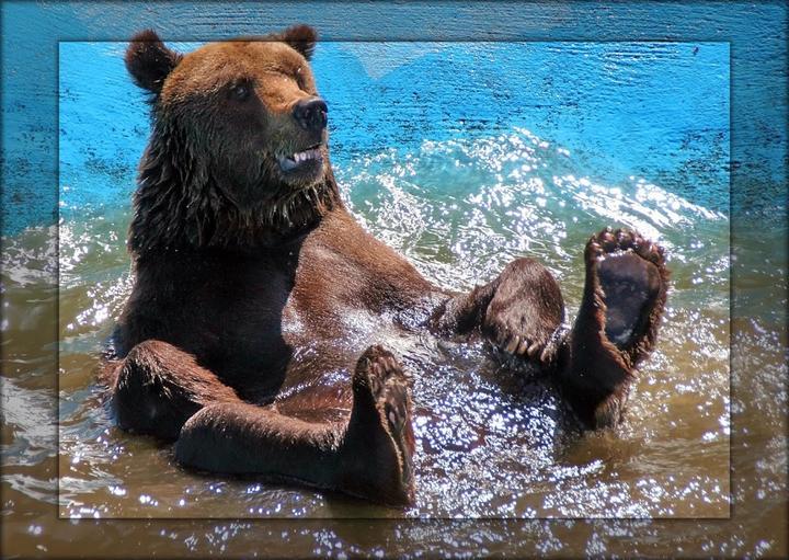 Wild- Und Freizeitpark